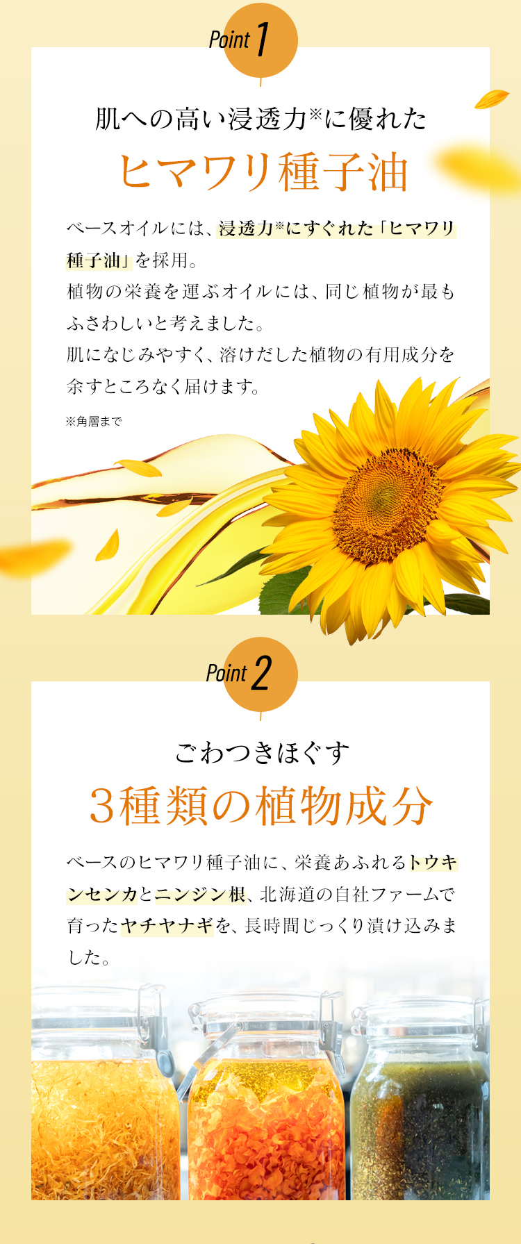 ヒマワリ種子油　3種類の植物成分