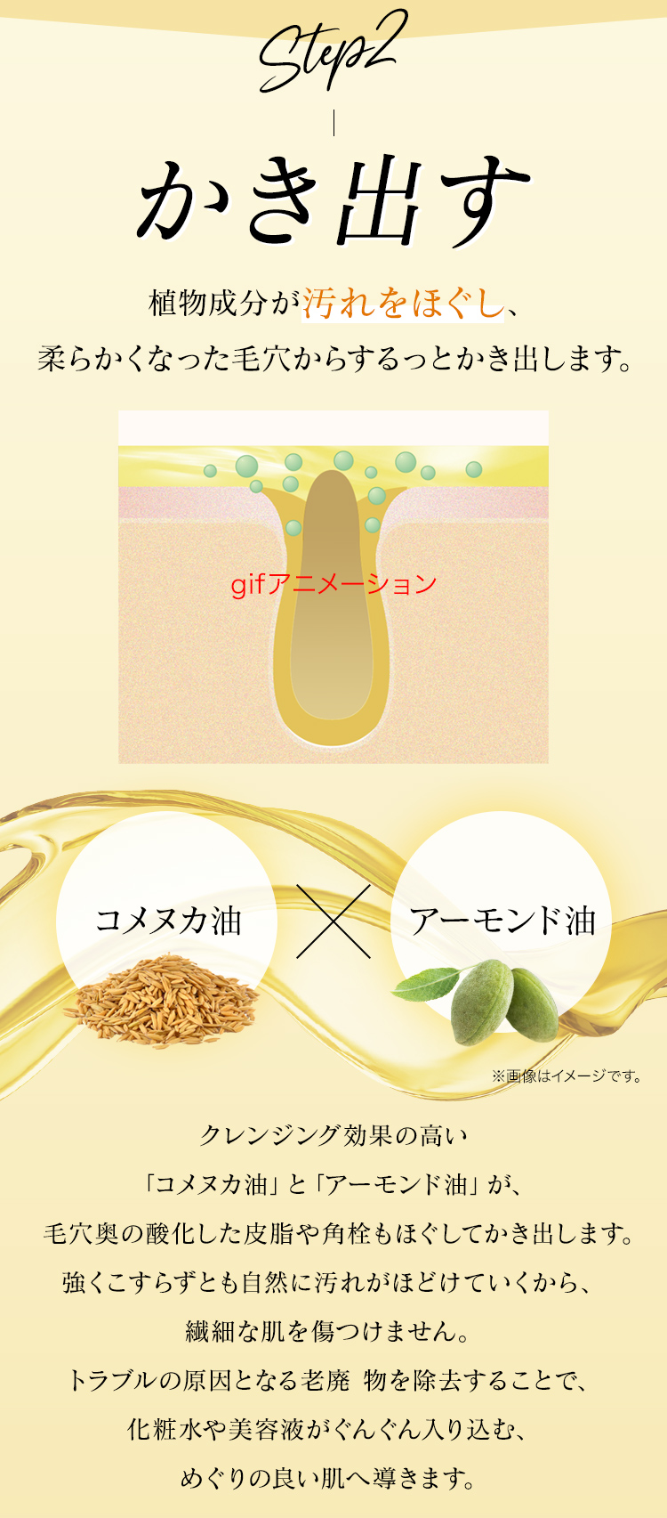 STEP2 植物成分が汚れをほぐす