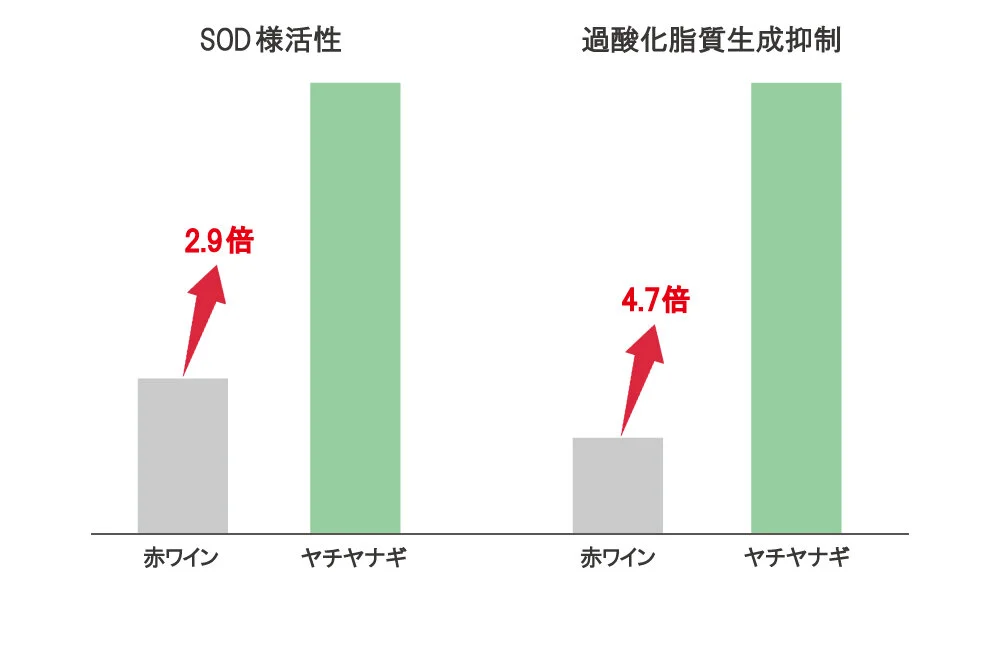 メゾンレクシアの研究結果