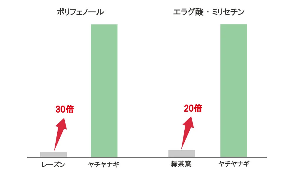 メゾンレクシアの研究結果