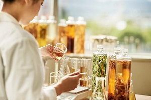 研究開発者に聞く稀少植物ヤチヤナギ、そのすごい美容効果